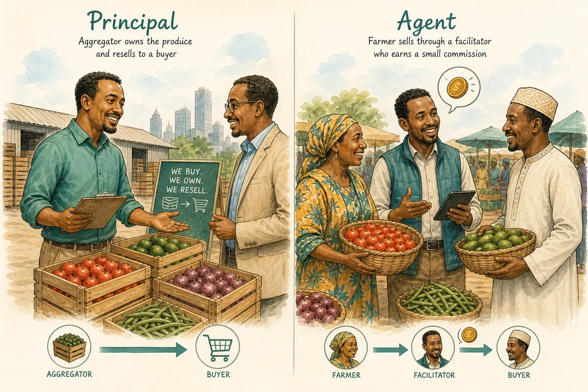 Illustrative caricature contrasting an aggregator that buys and resells produce with an agent who earns a commission on a farmer’s sale.